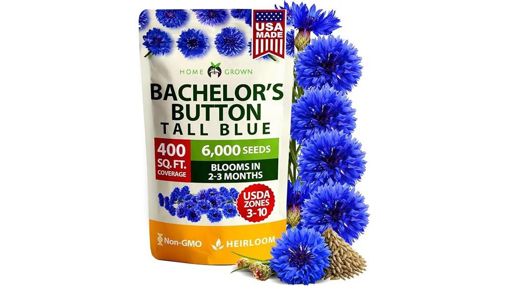 tall blue bachelor buttons