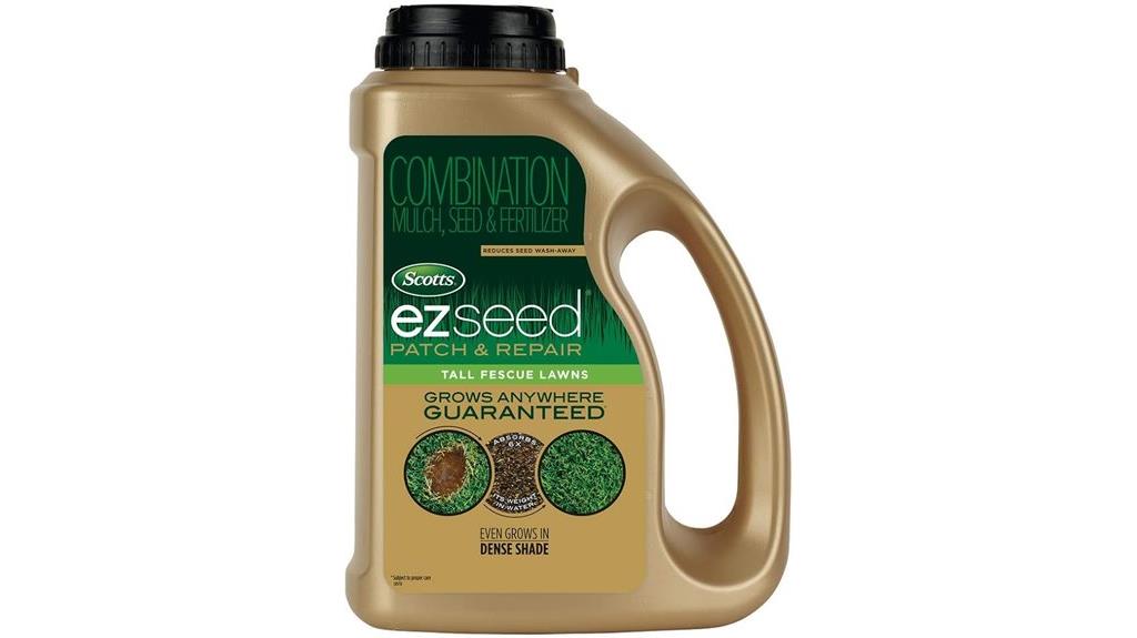 tall fescue lawn repair