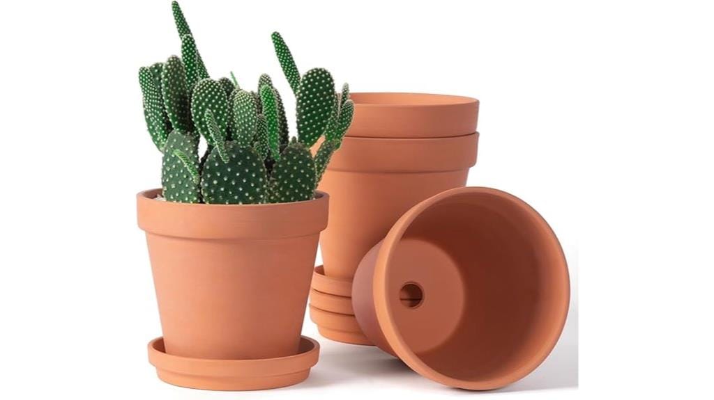 terracotta plant pots with saucers
