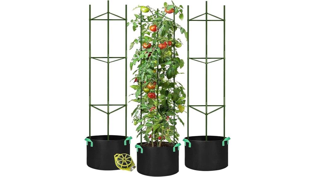 tomato cages and grow bags