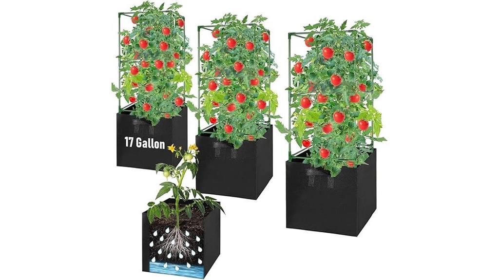 tomato cages with grow bags