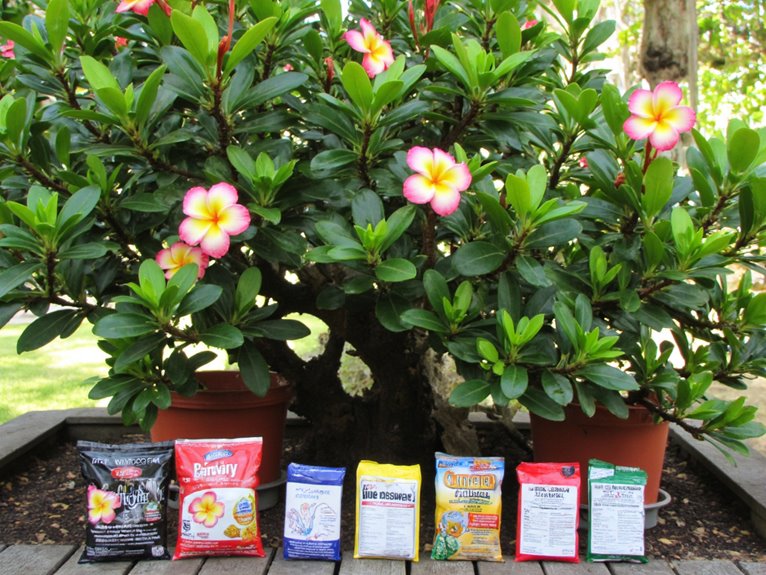 top fertilizers for plumeria