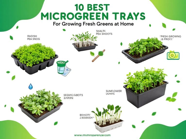 top microgreen growing trays