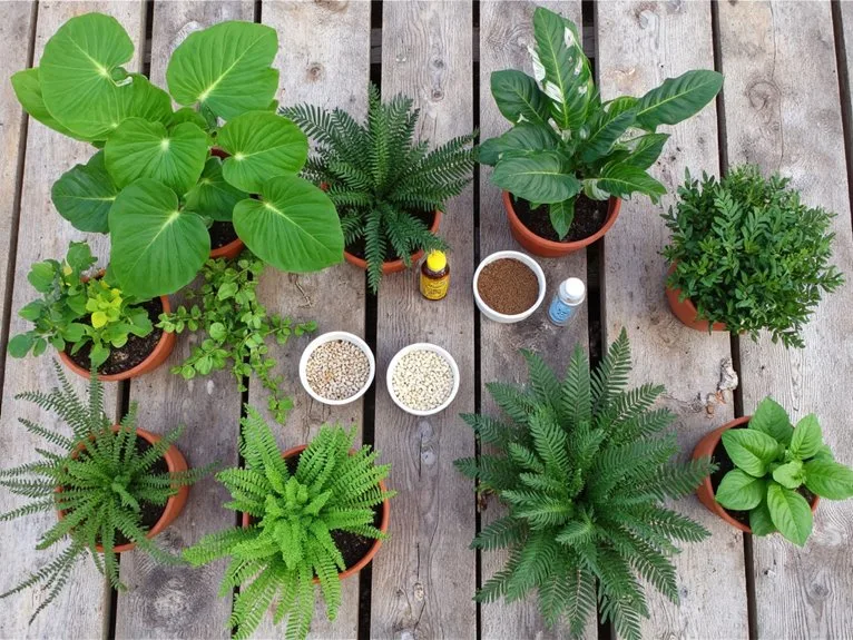 top nutrients for houseplants