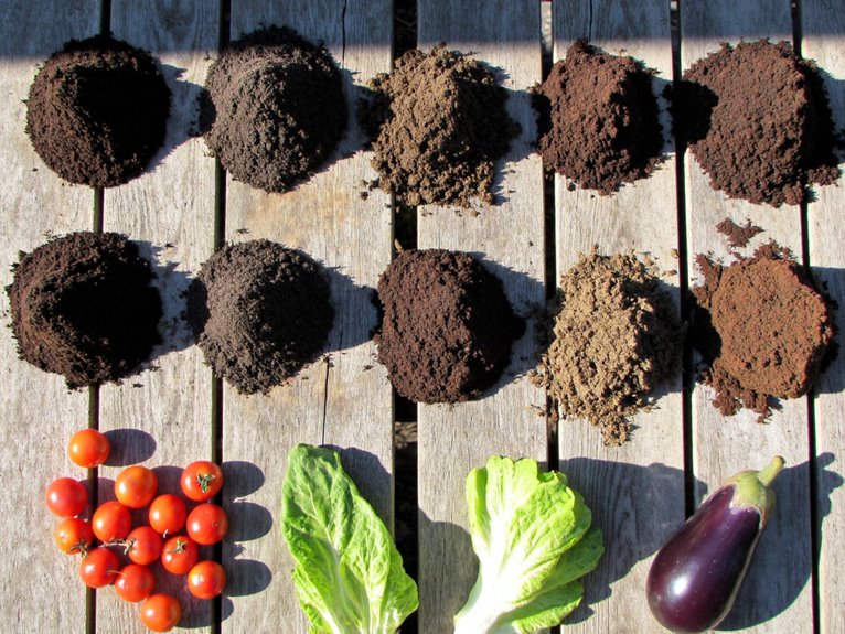 top potting soils 2025