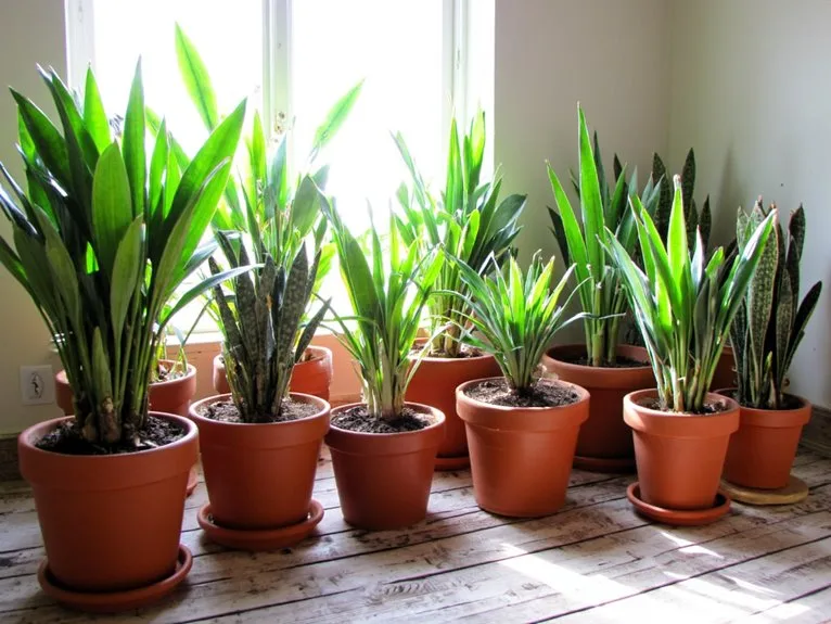 top potting soils recommended