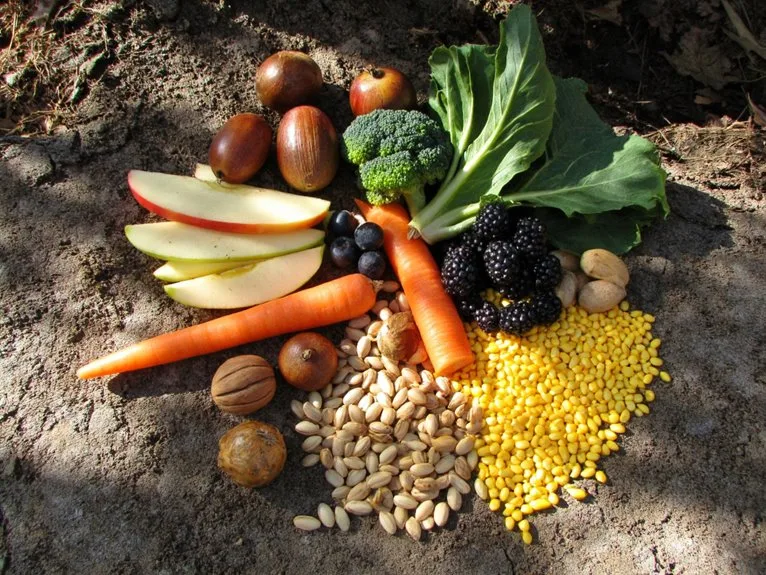 top squirrel food recommendations