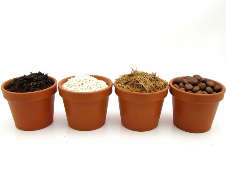 top substrates for autoflowers