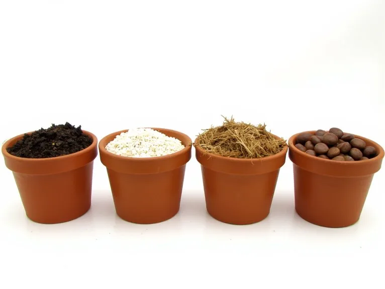 top substrates for autoflowers
