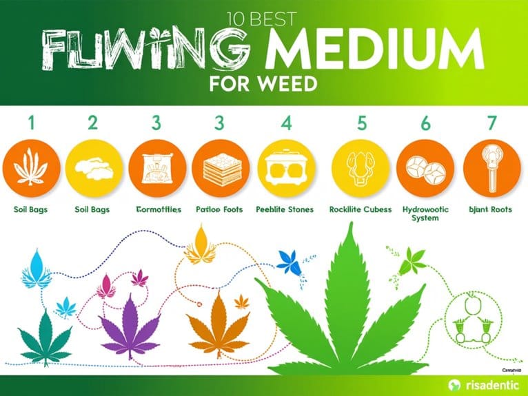 top substrates for cannabis