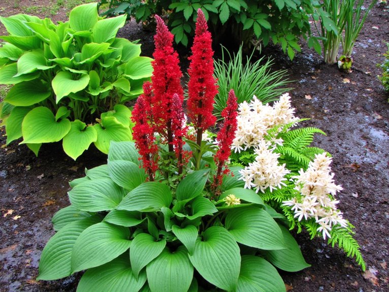 wet soil plant solutions