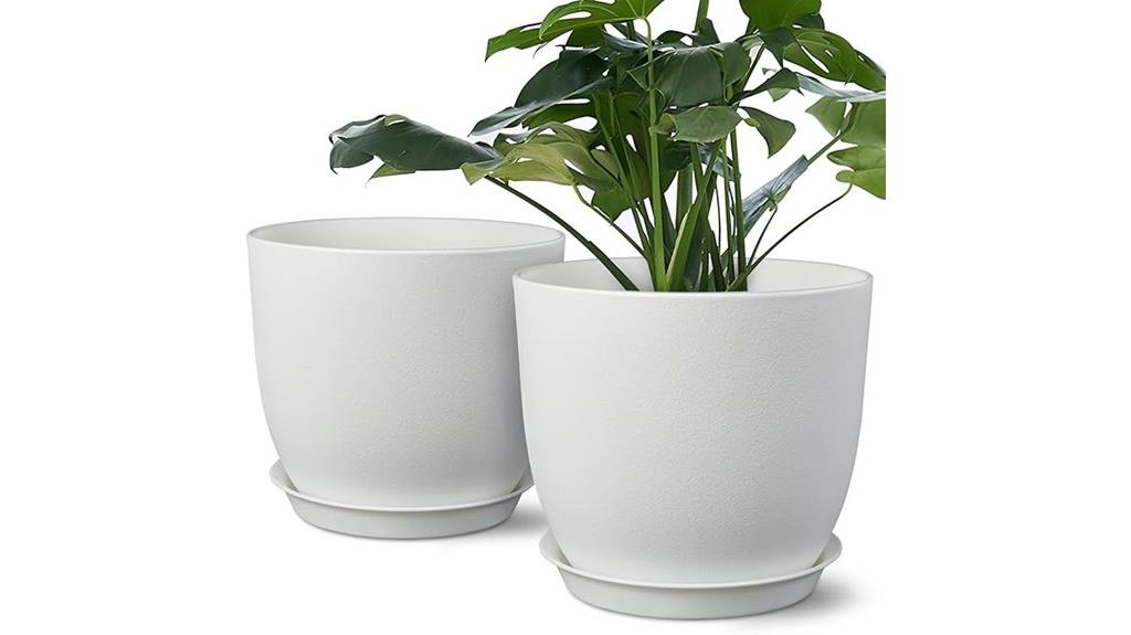 white 8 inch plant pots