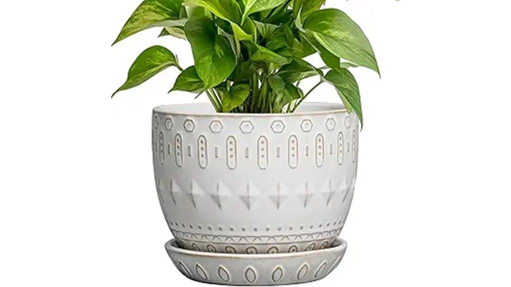 white ceramic plant pot