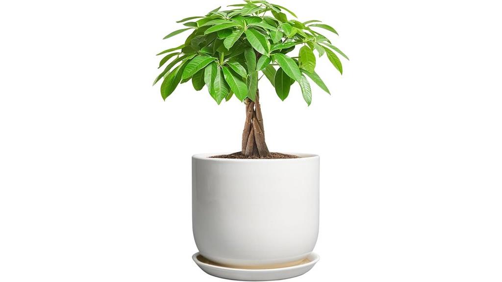 white ceramic pot with saucer