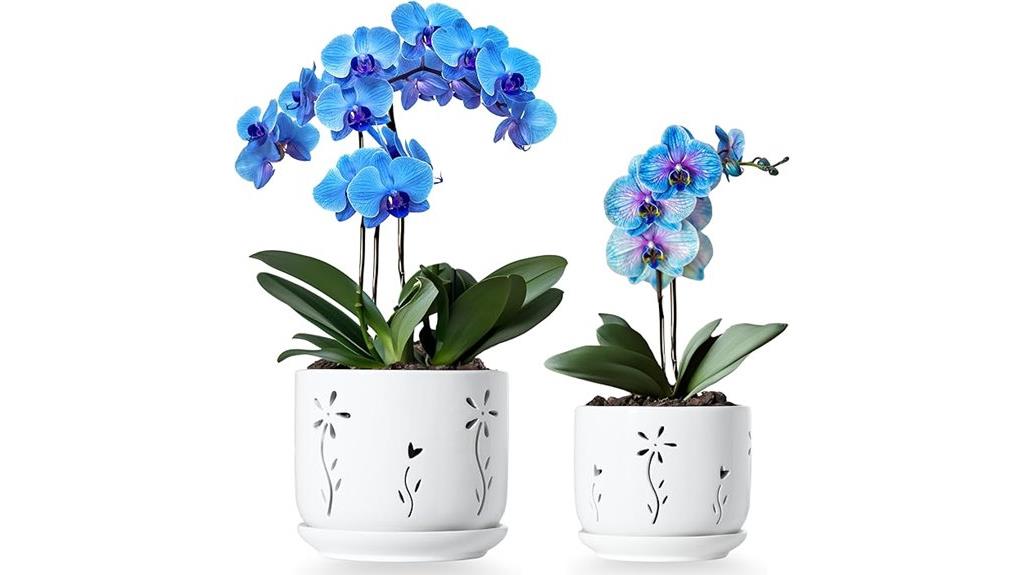 white orchid pots set