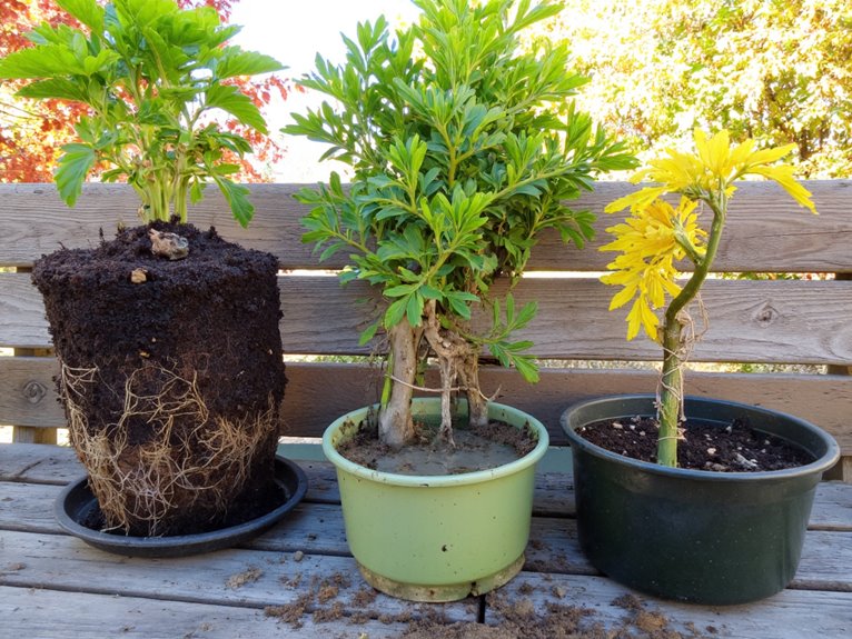 avoiding garden container errors