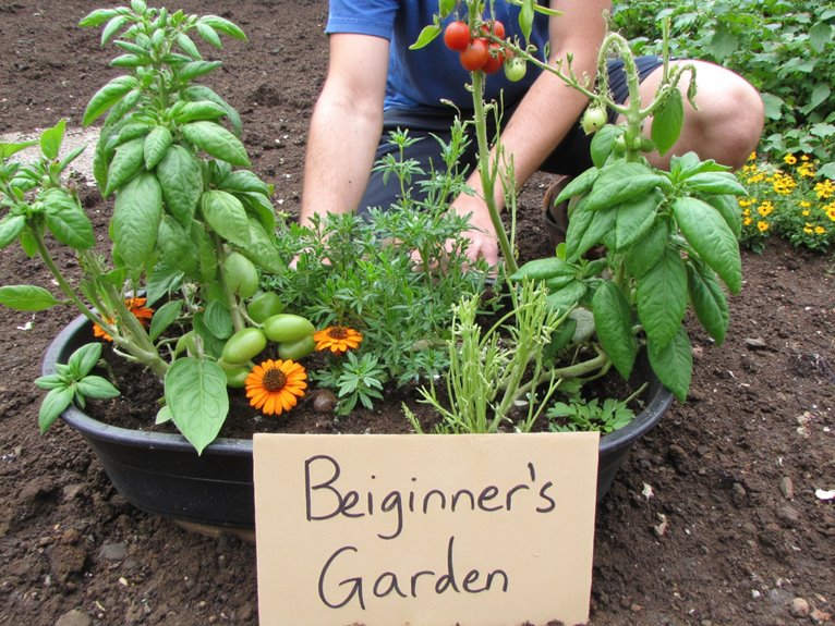 beginner s garden overload