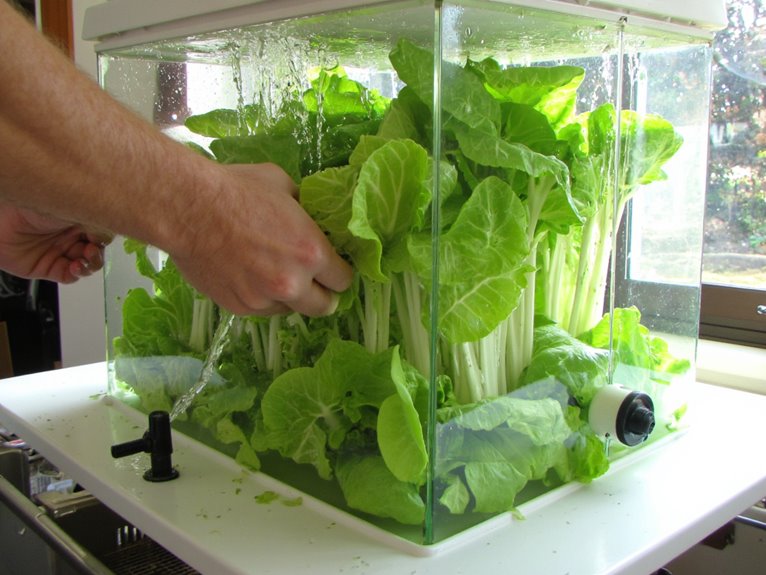 clean water hydroponics