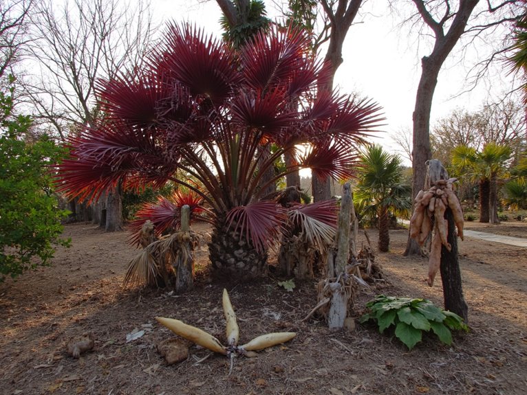 climate mismatch risks