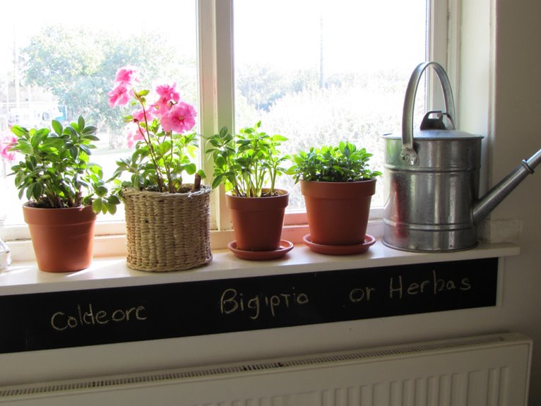 container gardening essentials explained
