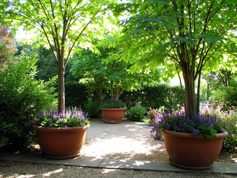 container grown trees shrubs