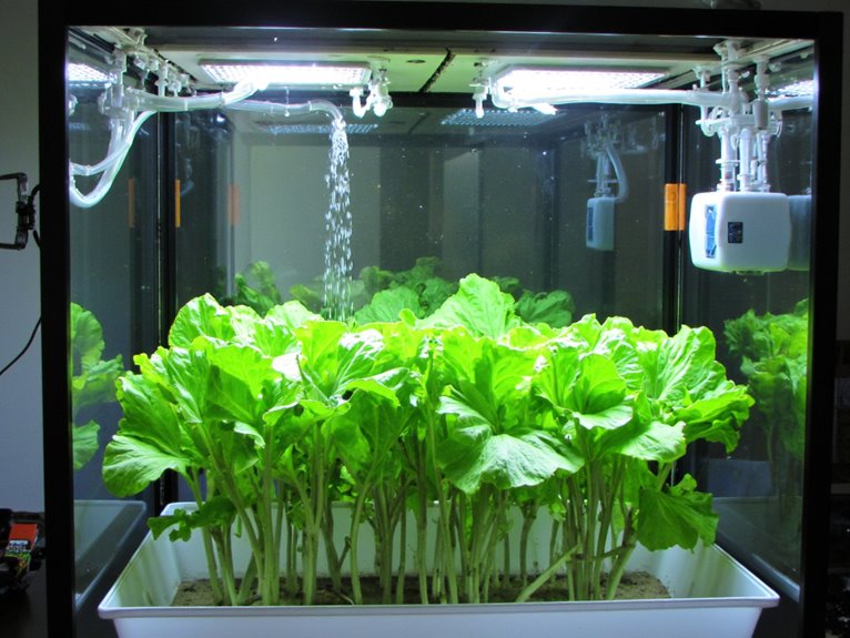 continuous hydroponic water flow