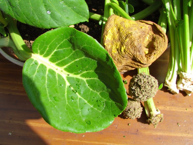 delayed action worsens damage