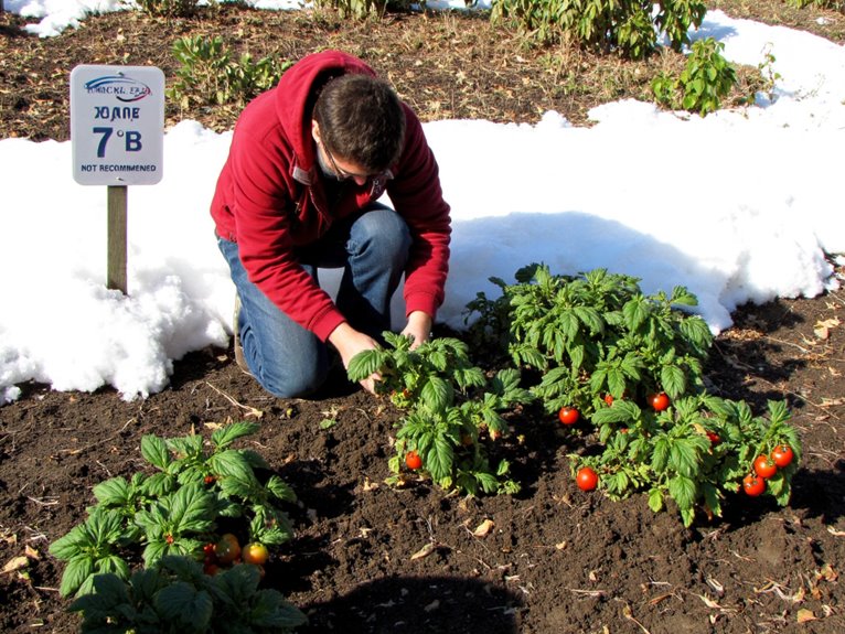 disregard local climate timing