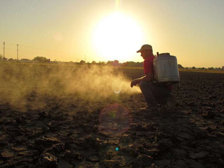 fertilize dry soil without burning roots