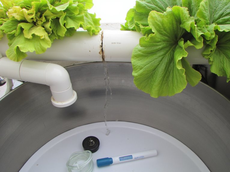 fixing hydroponic water issues