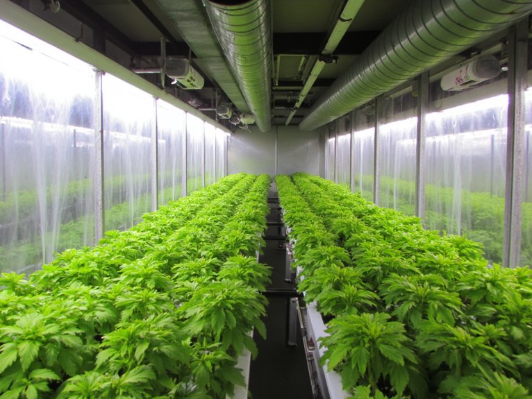 fungal bacterial greenhouse prevention