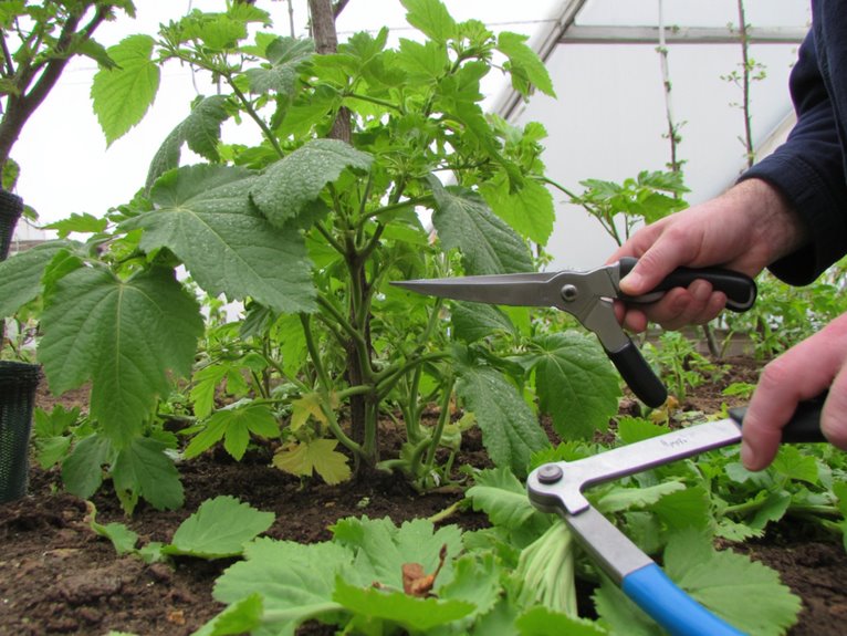 greenhouse plant care techniques