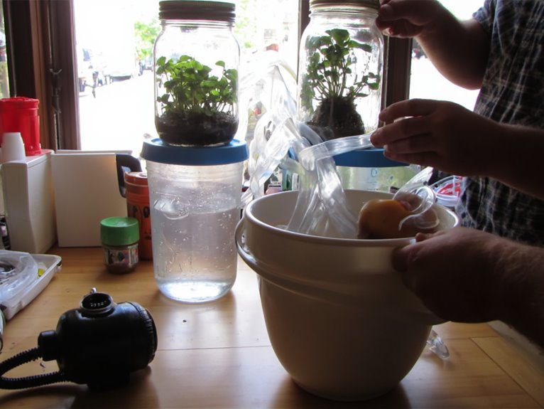 hydroponic diy mason jar bucket