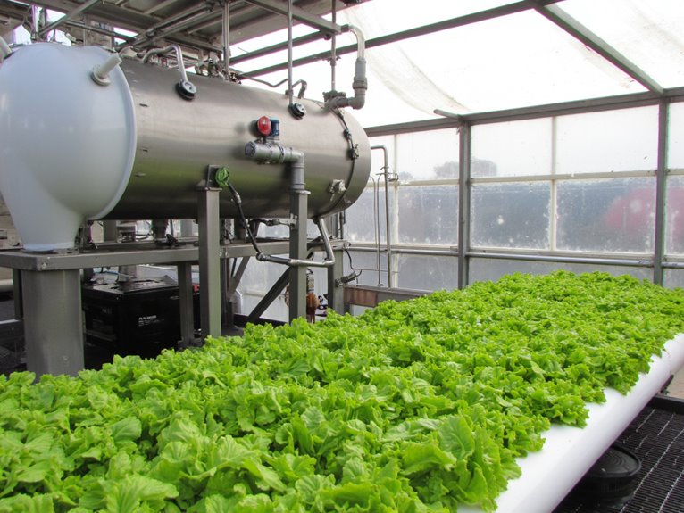hydroponics redundancy strategy