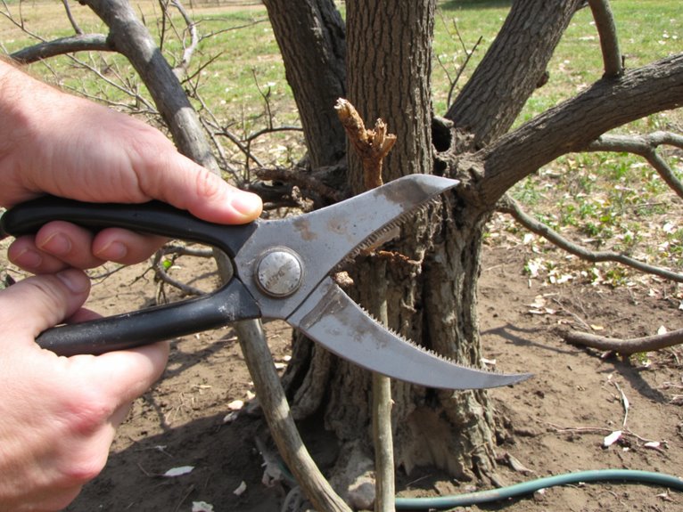 inefficient gardening tool selection