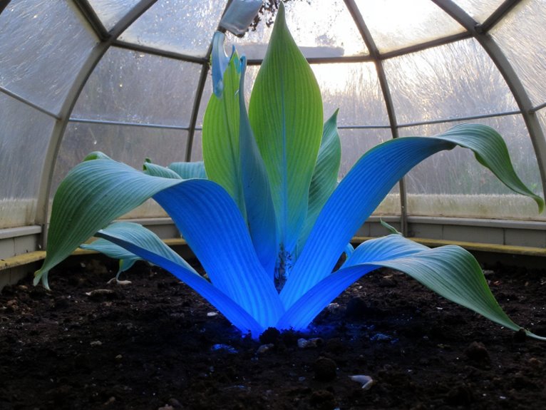 innovative plant discoveries