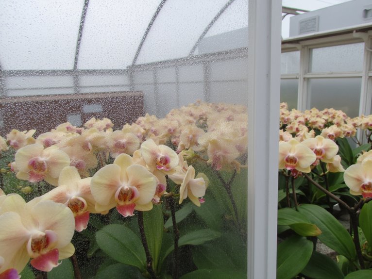 moisture control for disease prevention