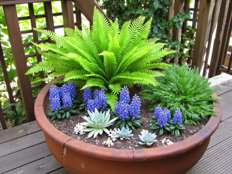 optimal container plant spacing