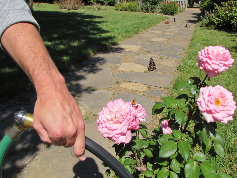 overreacting to garden bugs