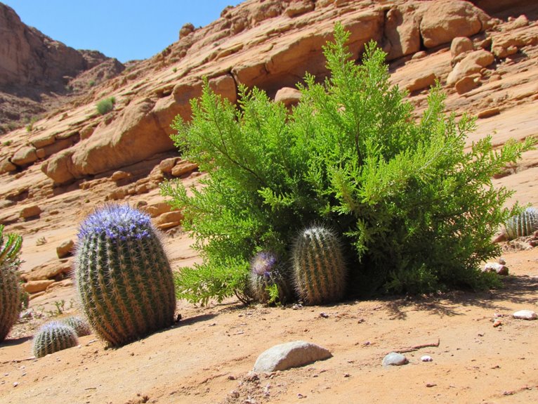 plant environment matching guide
