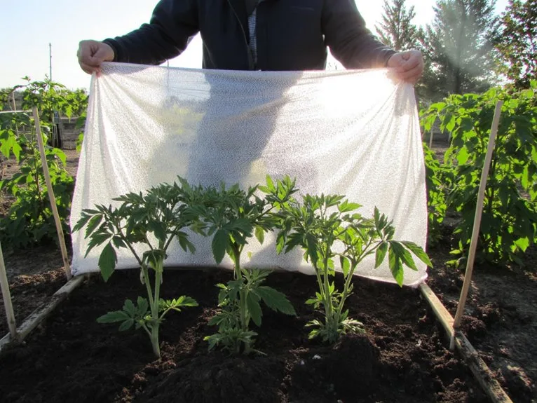 season extension plant covers