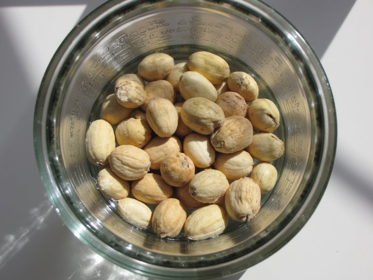 seasonal planting calendar