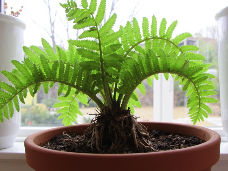 small containers stunt growth