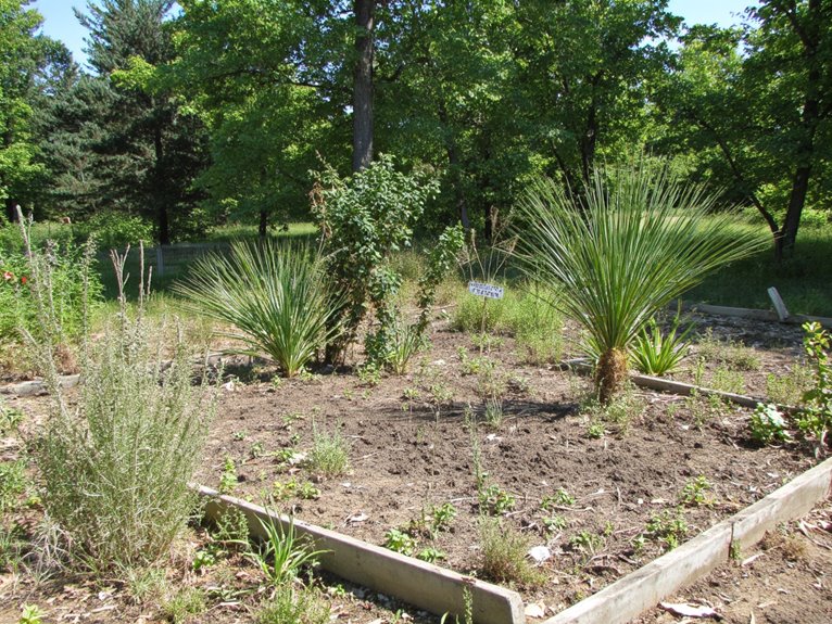 unrecorded garden insights