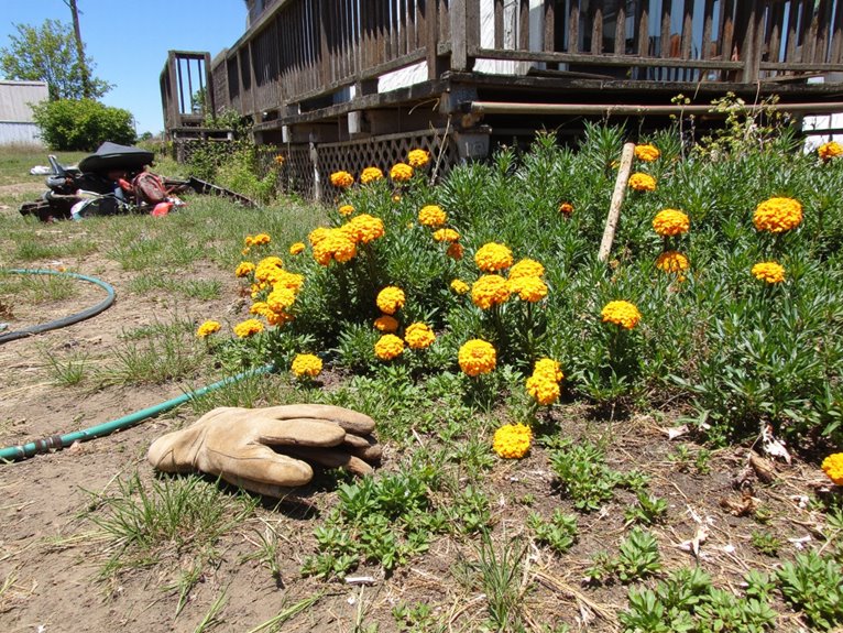 vacation garden maintenance plan