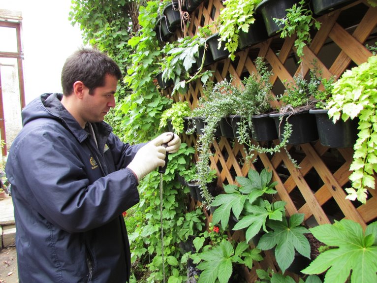 vertical garden level care