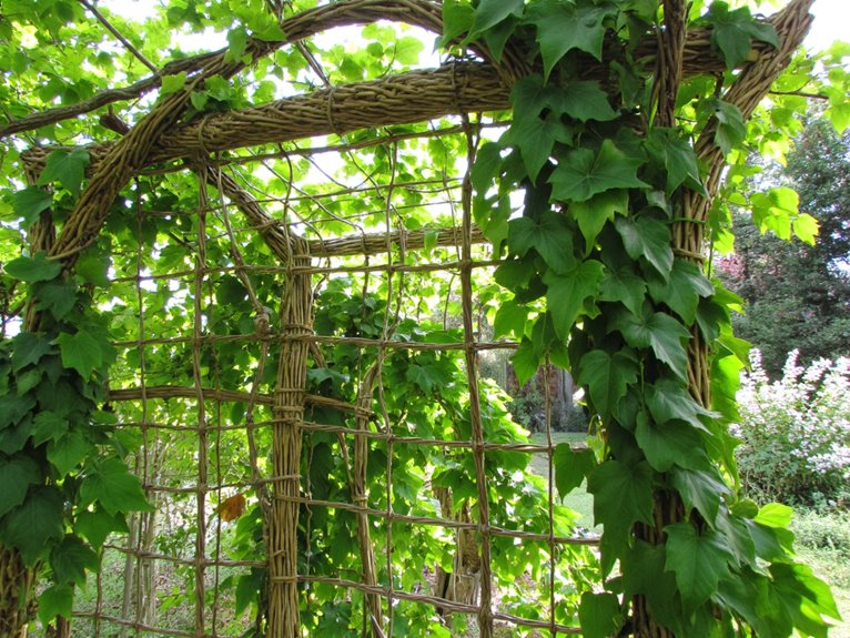 vertical growth plant support