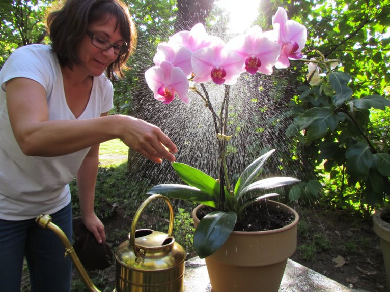 watering leaves not soil