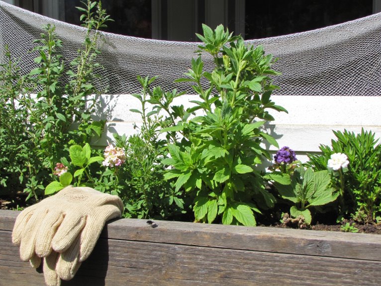 window box insect defense